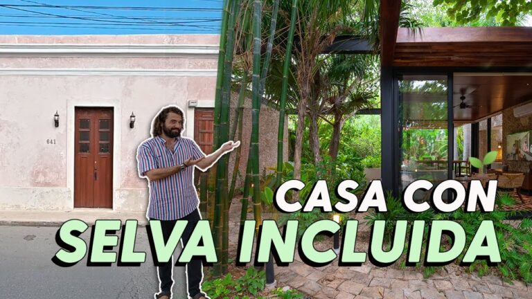 Terrazas Encantadoras: Disfruta la Experiencia de una Barra de Cócteles