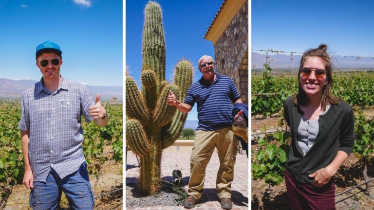 Terrazas con Vistas: Experiencias Inigualables para Catas de Vino