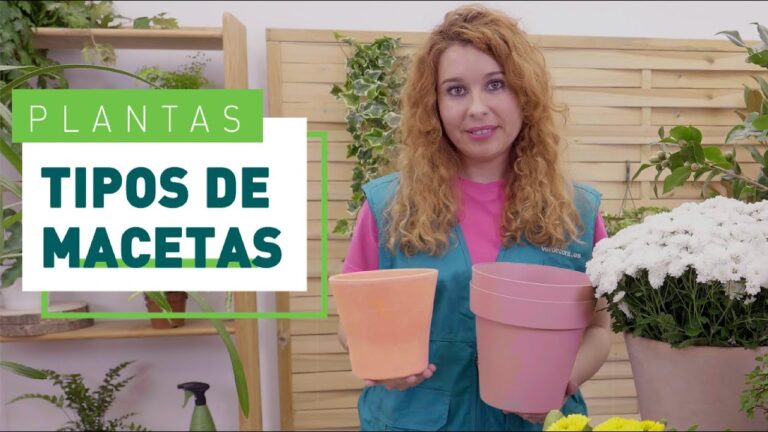 Gu&iacute;a para Elegir los Mejores Maceteros para tu Terraza