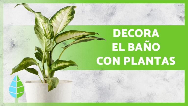 Incorporando Velas Arom&aacute;ticas en la Decoraci&oacute;n del Balc&oacute;n