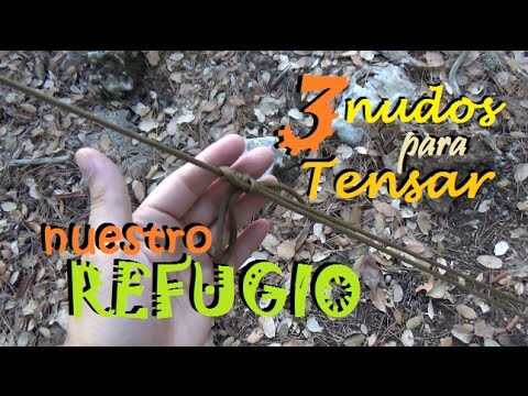 Toldos y Sombrillas: Accesorios Clave para tu Caravana