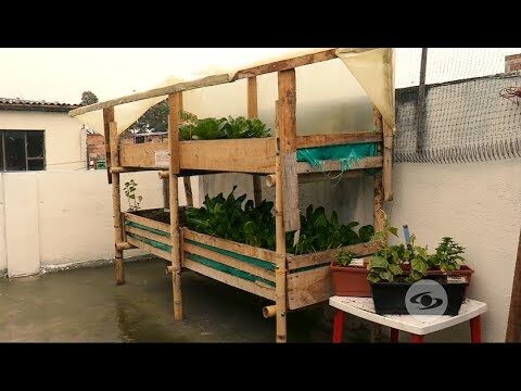 T&eacute;cnicas Innovadoras para Cultivar en Terrazas Peque&ntilde;as