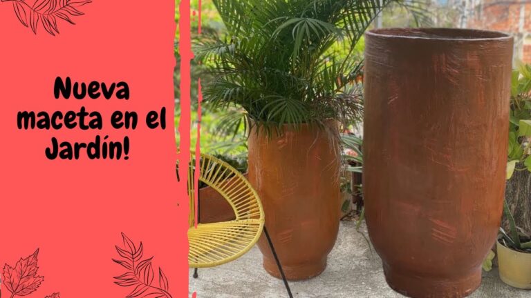 Tipos de Macetas Ideales para Suculentas en Balcones