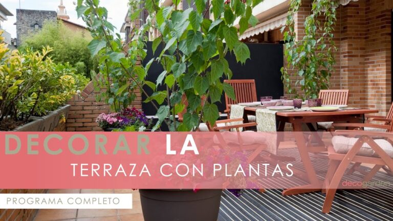 Balcones Encantadores con Plantas de Hojas Grandes