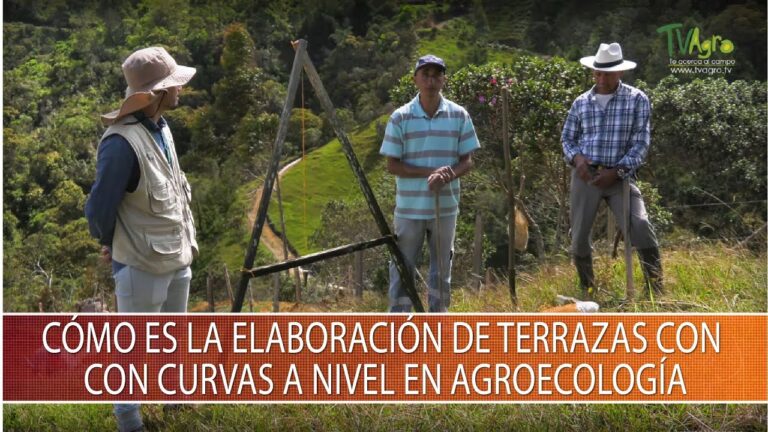 Terrazas Peque&ntilde;as: El Espacio Ideal para Cultivar