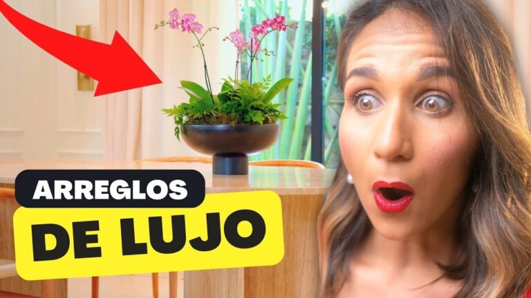 Armonía y Belleza: Transformando Balcones con Plantas Suculentas