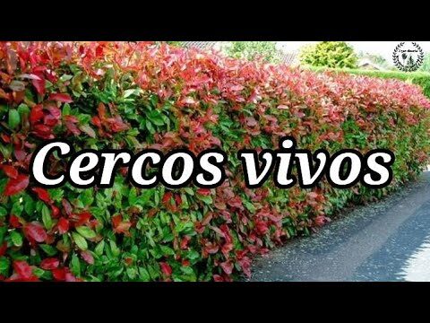Transforma tu balc&oacute;n en un oasis natural con c&eacute;sped artificial