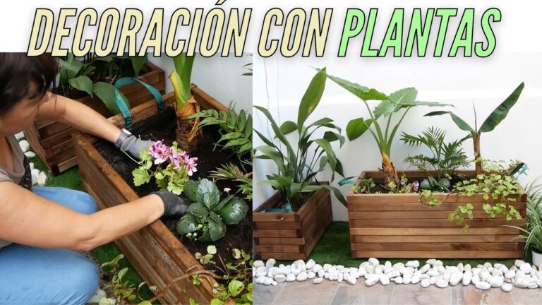 Jardinería Medicinal en Balcones: Cultivando Plantas Sanadoras